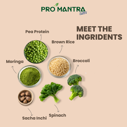Mango Flavour Plant Protein