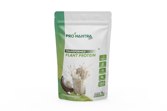 Coconut Flavour Plant Protein
