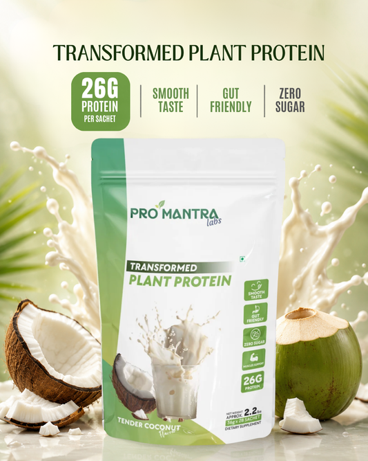 Coconut Flavour Plant Protein